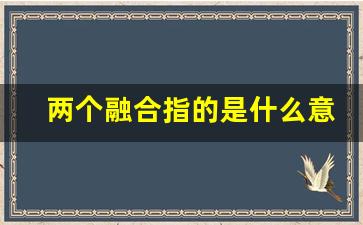 两个融合指的是什么意思