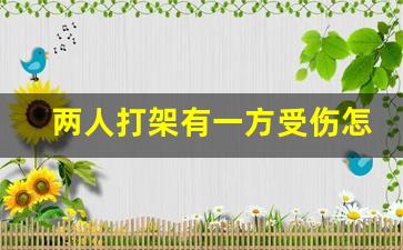 两人打架有一方受伤怎么赔偿_农村因为土地吵架打架如何解决