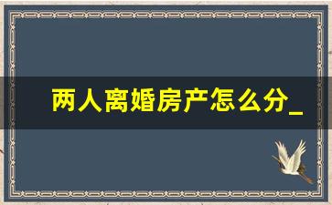 两人离婚房产怎么分_先把婚离了再分财产