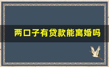 两口子有贷款能离婚吗_协议离婚债务归一方,法律承认吗