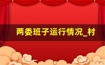 两委班子运行情况_村两委班子谈心谈话记录内容