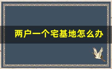 两户一个宅基地怎么办_拆迁户口本上的人都有赔偿吗