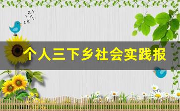 个人三下乡社会实践报告_三下乡农村社会实践活动报告