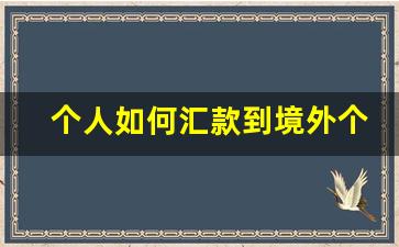 个人如何汇款到境外个人_中国怎么汇款去越南