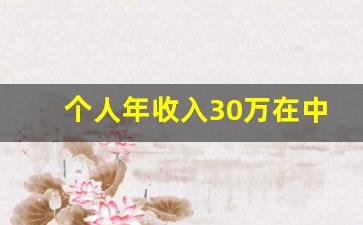 个人年收入30万在中国排名_年薪三十万算高薪吗