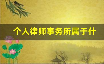 个人律师事务所属于什么性质_个人律师事务所属于个体工商户吗