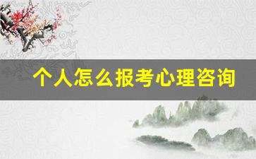 个人怎么报考心理咨询师_全国心理咨询师考试报名官网