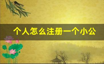 个人怎么注册一个小公司_注册一个空壳公司一年交多少费用