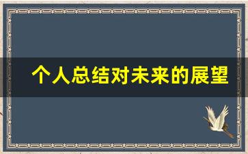 个人总结对未来的展望