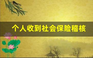 个人收到社会保险稽核通知书_社保稽查怎样算是立案了