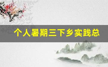 个人暑期三下乡实践总结_暑假社会实践报告3000字范文