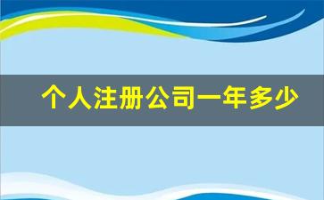 个人注册公司一年多少费用_个人注册公司的利弊