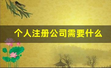 个人注册公司需要什么材料和手续_小微企业怎么办理注册