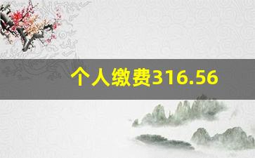 个人缴费316.56公司交多少