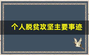 个人脱贫攻坚主要事迹