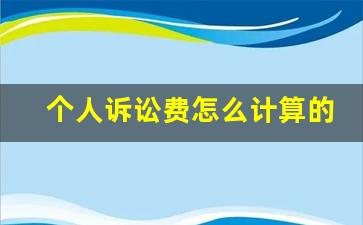 个人诉讼费怎么计算的_诉讼费标的额怎么计算