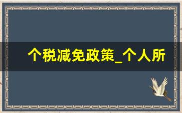 个税减免政策_个人所得税八项减免