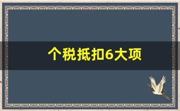 个税抵扣6大项