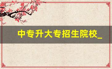 中专升大专招生院校_自考本科报名官网入口