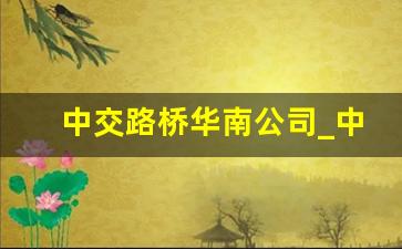 中交路桥华南公司_中交陈祥君