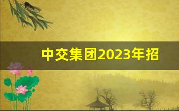 中交集团2023年招聘_中国交建招聘2024