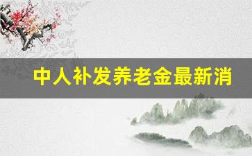 中人补发养老金最新消息(今天)