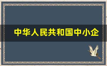 中华人民共和国中小企业促进法_国家对小微企业贷款的扶持政策