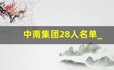 中南集团28人名单_陈锦石人物经历