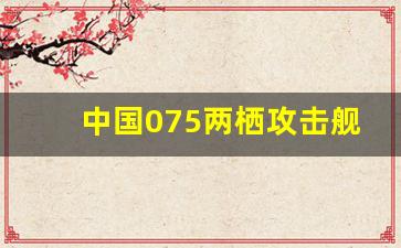 中国075两栖攻击舰_一艘055可以灭一个小国吗