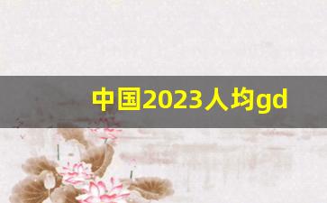 中国2023人均gdp预估最新