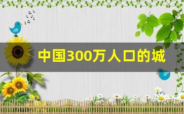 中国300万人口的城市_常住人口300万以上城市名单