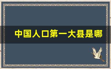 中国人口第一大县是哪里_全国人口前十名的县