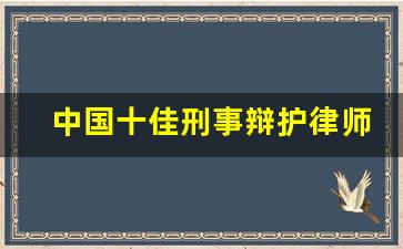 中国十佳刑事辩护律师之