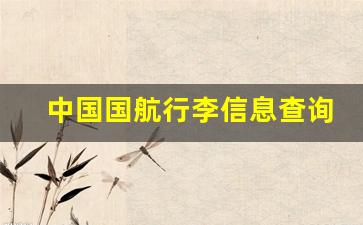 中国国航行李信息查询官网_货物航班信息查询