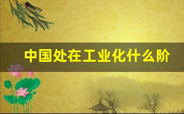 中国处在工业化什么阶段_22个工业化国家名单