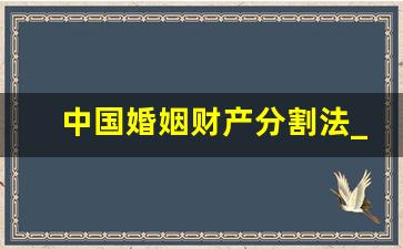 中国婚姻财产分割法_婚姻法对财产分割的规定