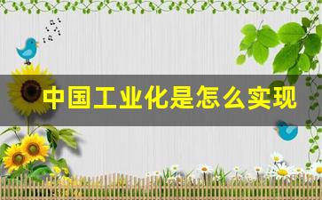 中国工业化是怎么实现的_中国工业化基本实现是什么时候