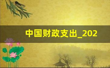 中国财政支出_2023全国负债排行榜一览表