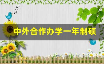 中外合作办学一年制硕士_非全日制在职研究生报名官网