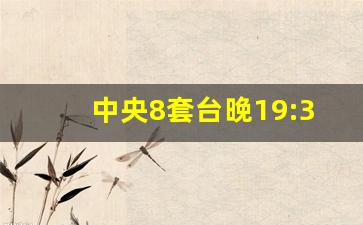 中央8套台晚19:30电视连续剧