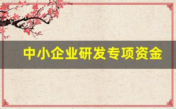 中小企业研发专项资金_上海中小企业专项