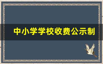 中小学学校收费公示制度方案_2023年公立小学收费表