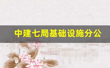 中建七局基础设施分公司_中建七局杨国伟