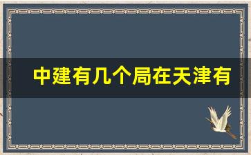 中建有几个局在天津有公司吗_天津是中建几局总部