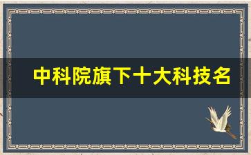 中科院旗下十大科技名企_中科院唯一的股票