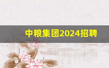 中粮集团2024招聘