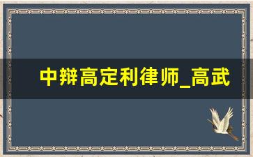 中辩高定利律师_高武渊律师