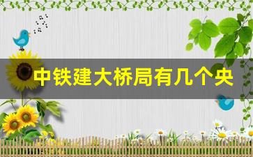 中铁建大桥局有几个央企_中铁建大桥局怎么样