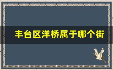 丰台区洋桥属于哪个街道