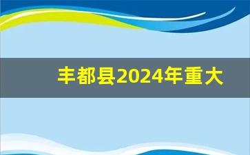 丰都县2024年重大项目_重庆市丰都县2035未来规划图